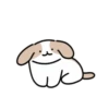 Cute 💓 🐶Dogs .mov 20
