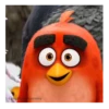 Meme Angry birds 💢😅 12