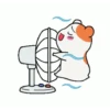 calor 11