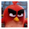 Meme Angry birds 💢😅 13