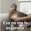 Eso no me lo esperaba