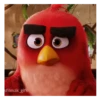Meme Angry birds 💢😅 14