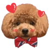 Cute 💓 🐶Dogs .mov 22