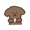 Cute 💓 🐶Dogs .mov 23