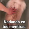 A Nadando en tus mentiras