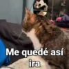 Me quedé así ira