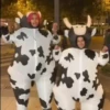 vaca bailando 😎 6