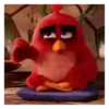 Meme Angry birds 💢😅 15