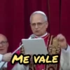Papa Leon XIV 😎 18
