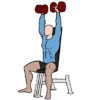 GYM TREINO ACADEMIA 8
