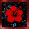 Variados Cute✳️1🇨🇴&🇦🇷Movi 26