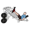 GYM TREINO ACADEMIA 6