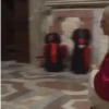Papa león XIV 28