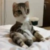 Virales de tiktok 📲 13