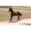 🔥 Memes Random Clásicos 🔥 13