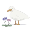 Duck Sticker Set 6