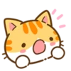 🐱Gatitos comelones 2 MOV.🍜🍫 18