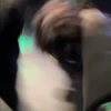 Dame tu cosita 🤤🥀 18