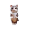 🐱🐈 DaNcInG CaT 🐈🐱 22