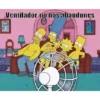 calor 13