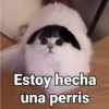 Estoy hecha una perris