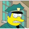 The Simpson 28