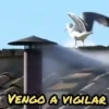 Papa Leon XIV 😎 12