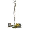 Metal Slug 29