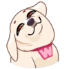 yupi mov 21