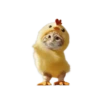 🐱🐈 DaNcInG CaT 🐈🐱 23