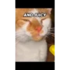 Minecraft lava song 15