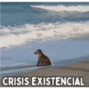 @Harley Stickers CRISIS EXISTENCIAL