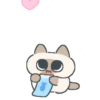 Gatito Siames 🐱 6