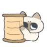 Gatito Siames 🐱 7