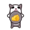 Gatos😺💞7🇵🇪Movi 6