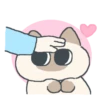 Gatito Siames 🐱 8