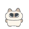 Gatito Siames 🐱 9