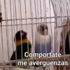 Animales🦒🐕🐈2 5