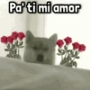 Pa'ti mi amor