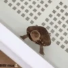 Mix Gif Bib.🧸֍1🇲🇽Movi 8