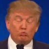 🇺🇸🗽😎Trump Funny Mood😎🗽🇺🇸 5