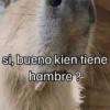 Capibara 🌱🌱 6