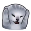 Gatos😺💞7🇵🇪Movi 7