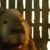 Capibara 🌱🌱 7