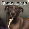 Dame un grrr