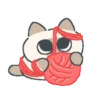 Gatito Siames 🐱 11