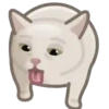 Gatos😺💞7🇵🇪Movi 9