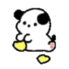 Cute white puppy 🐶🤍 MOV 6