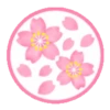 Sakura flowers 🌸 MOV 11