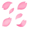 Sakura flowers 🌸 MOV 12